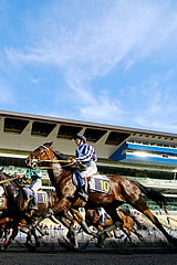 Hippodrome de Paris Vincennes